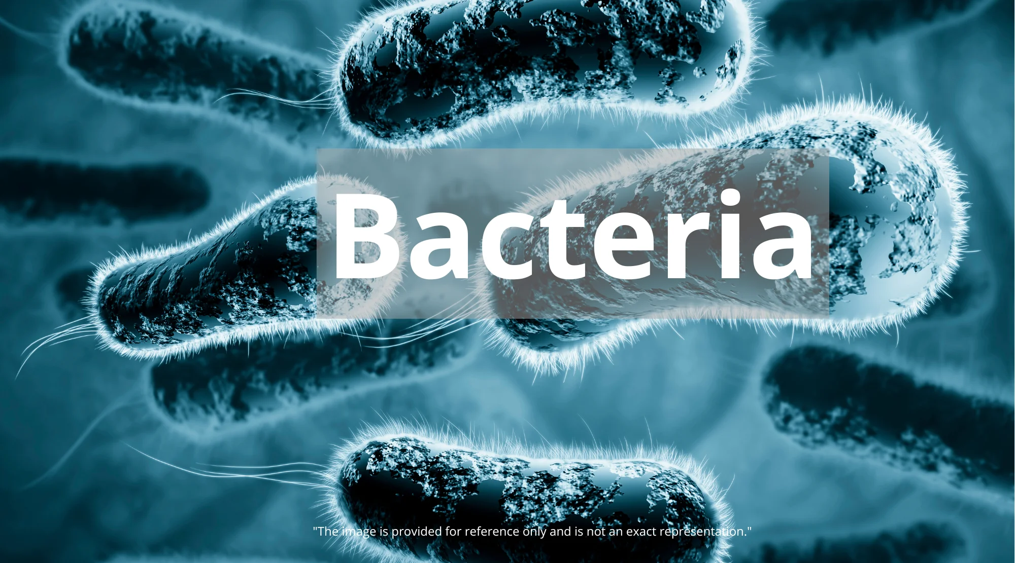 Drug-Resistant Bacteria: Understanding the Rising Threat & Prevention - Drug-Resistant Bacteria