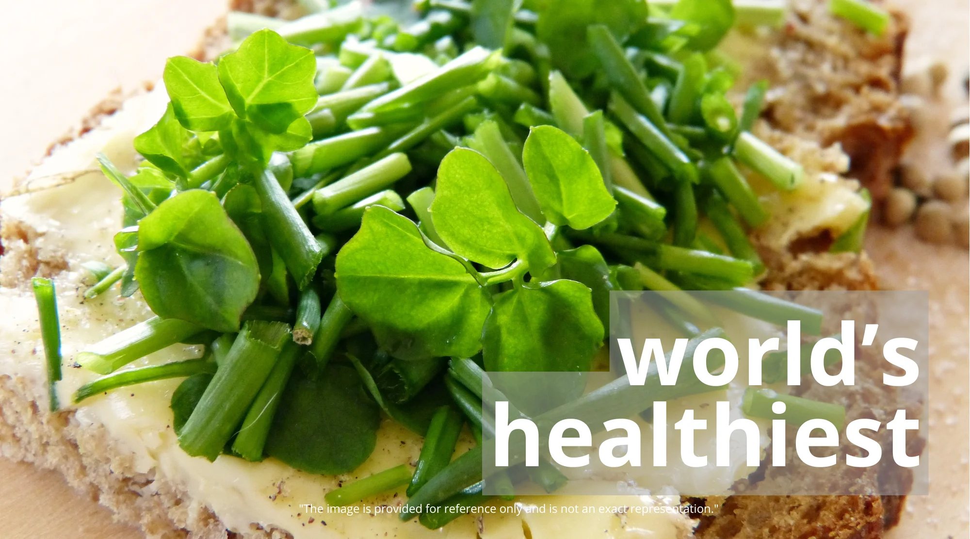 healthiest-food-w9anya World's Healthiest Food: Discover the Powerhouse Nutrient Source