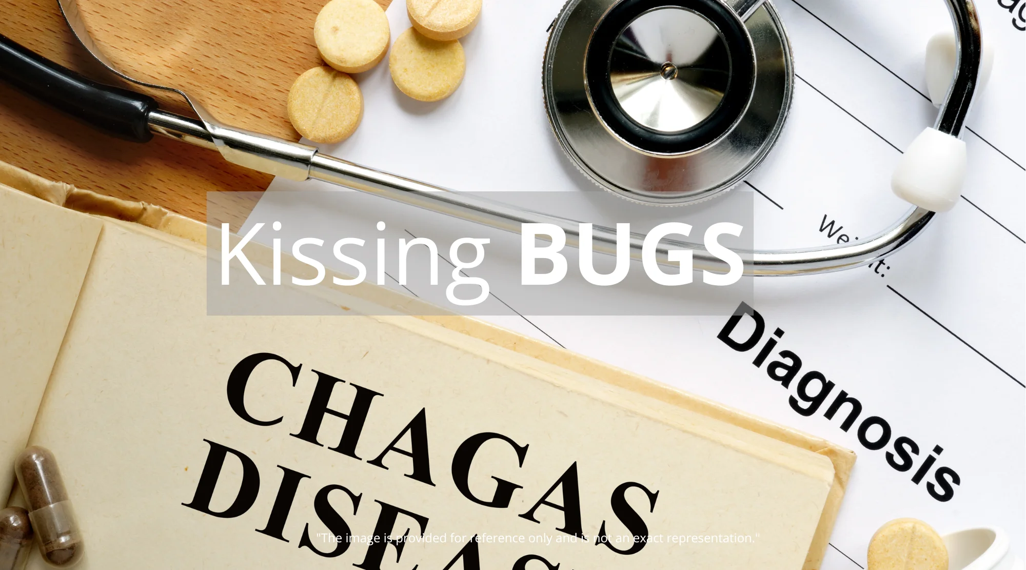 kissing-bugs-kon0dw Kissing Bugs: Protect Yourself from Chagas Disease