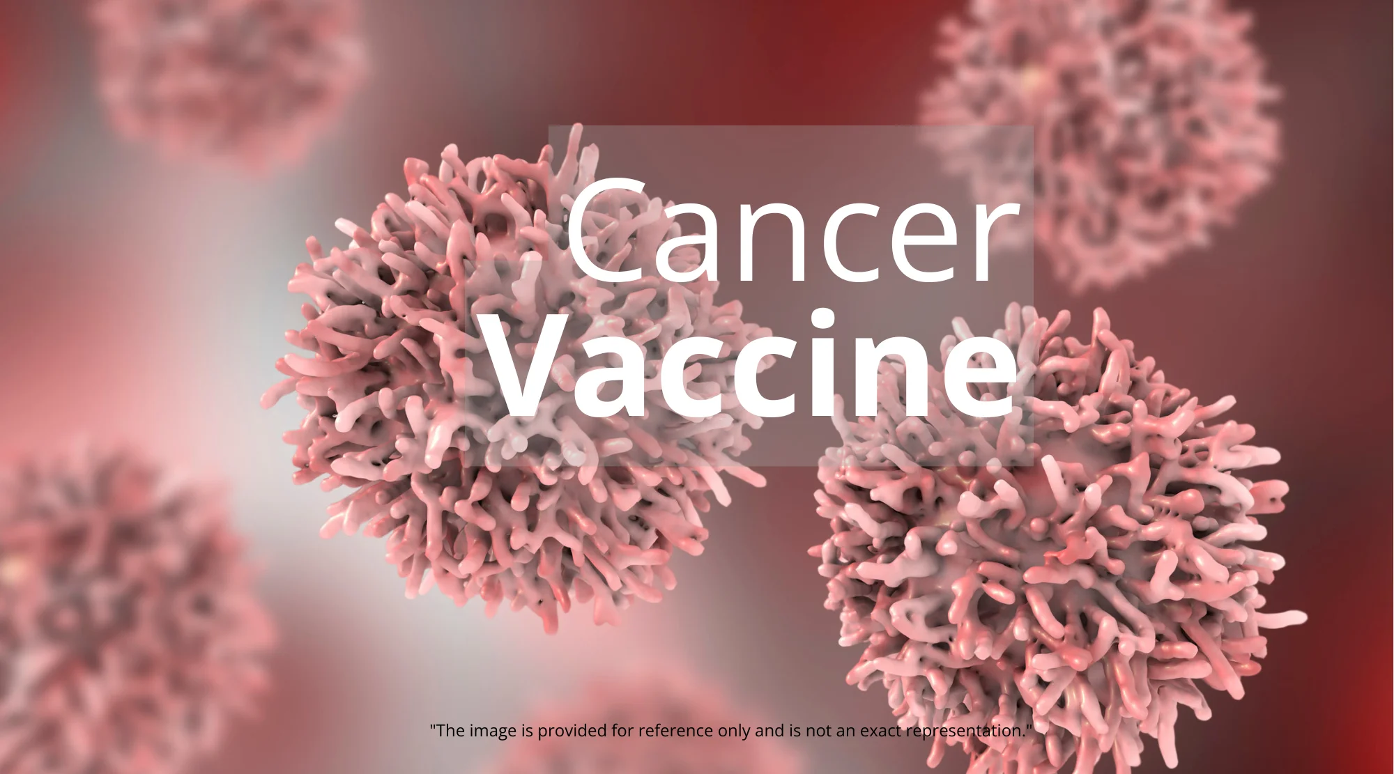 Russian mRNA cancer vaccine - detail 1