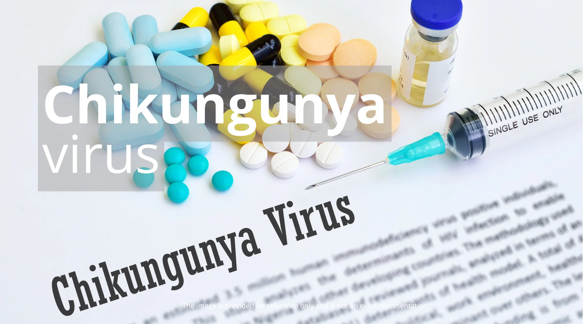 chikungunya-virus-o7bnxo Chikungunya Virus: US Guide to Prevention, Symptoms & Treatment
